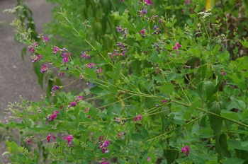 �F���A���� ���}�n�M