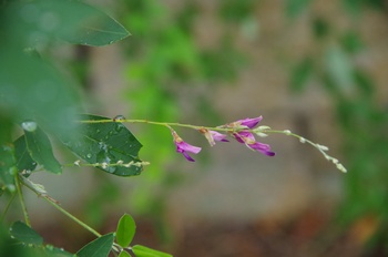 �F���A���� �~���M�m�n�M