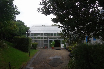 �F���A���� ����