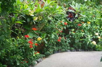 �F���A��������