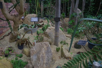 �F���A�������� �����A��