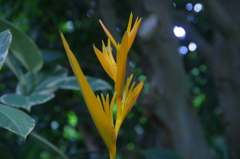 �F���A�������� �w���R�j�A