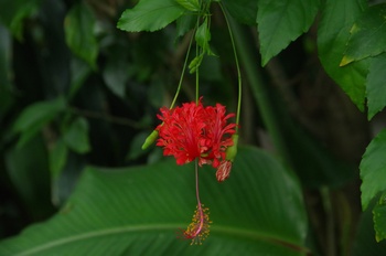 �F���A�������� �t�E�����u�b�\�E�Q