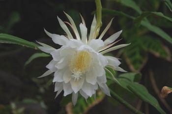 �F���A�������� �������l