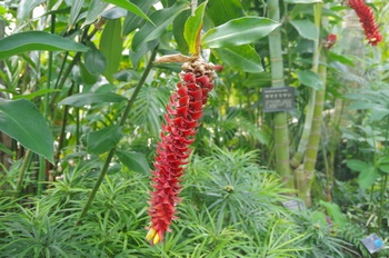 �F���A�������� �X�p�C�����W���W���[