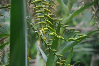 �F���A�������� �A���J���^���A