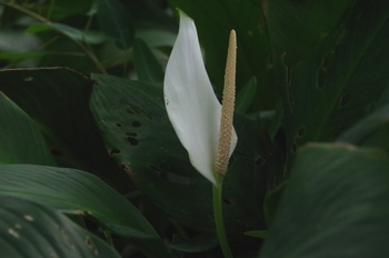 �F���A�������� �I�I�T�T�E�`��