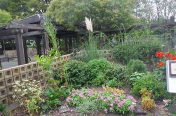 �F���A�����O�L�� �Ԓd