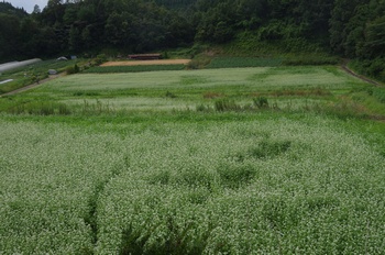 ����s�} ������