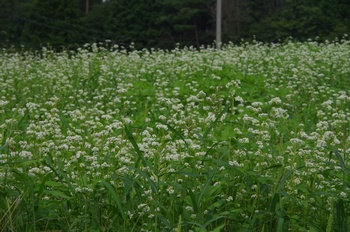 ����s�} ����