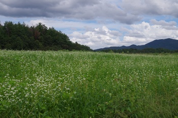 ����s�} ����