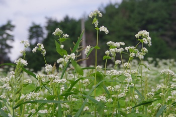 ����s�} ����