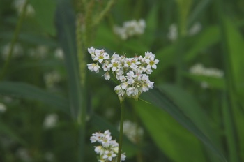 ����s�} ����