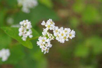 ����s�} �\�o