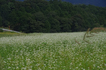 ����s�} �\�o