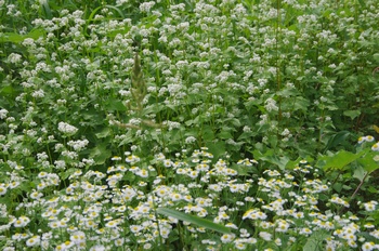 ����s�} �\�o