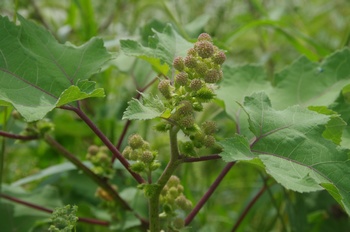 ����s�} �I�I�I�i���~