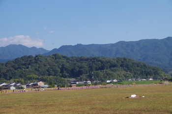 ������ �R�X���X