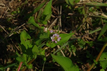 ������ �~�]�\�o