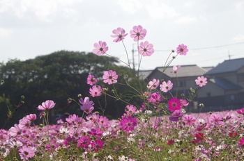 ������ �H��