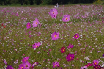 ������ �H��