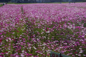 ������ �H��