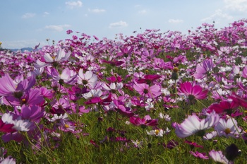 ������ �H��