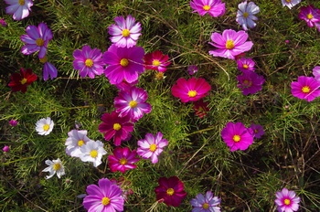 ������ �H��