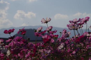 ������ �H��