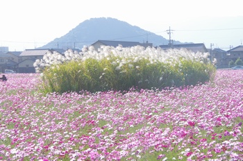 ������ �H��