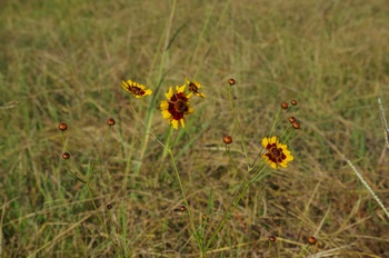 ������ �n���V���M�N