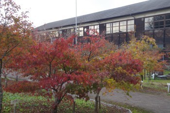 �F�Ɏs�Ђ�� �g�t