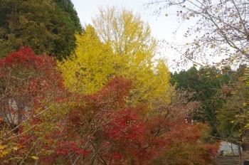 �F�Ɏs�Ђ�� �C�`���E