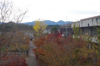 �F�Ɏs�Ђ�� �S�i