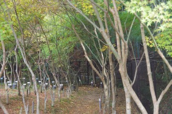 �F�Ɏs�Ђ�� ���~�W