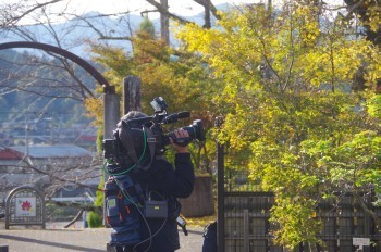 �F�Ɏs�Ђ�� �B�e