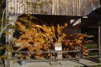 �F�Ɏs�Ђ�� �؂芔