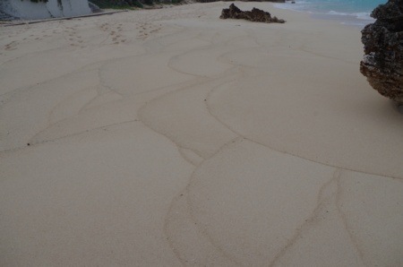 波によって打ち上げられた砂