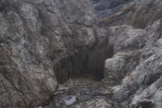 室戸岬の甌穴